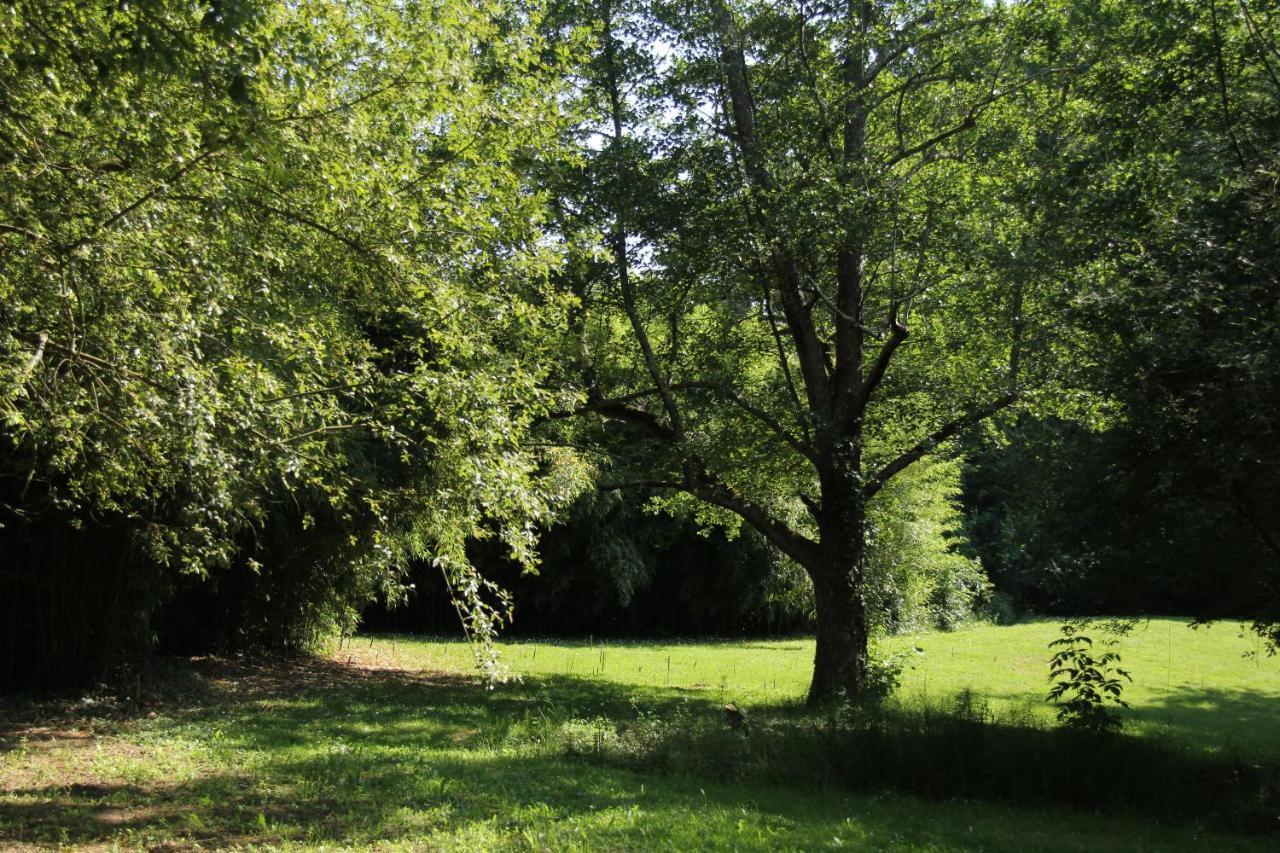 Au Petit Bernerot - Les Gites De L'Arbre Voyageur Eauze Eksteriør bilde
